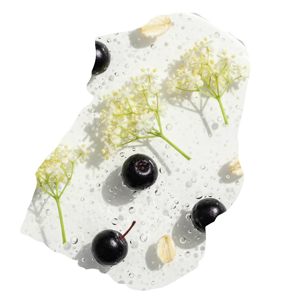 Geltextur mit Holunderblüten, Aroniabeeren und Haferextrakt für natürliche Männerhautpflege